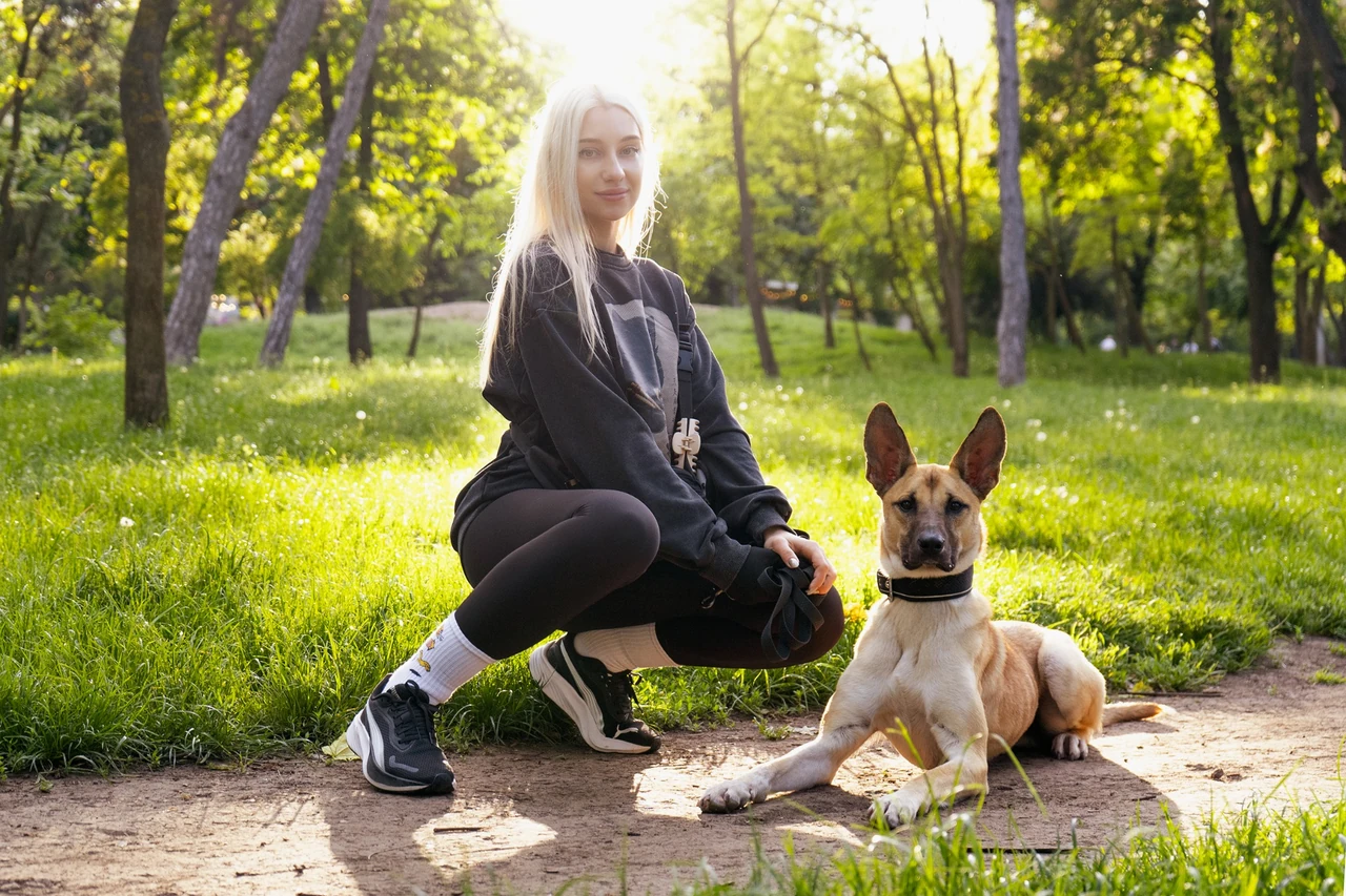 Владелец и собака на занятии школы