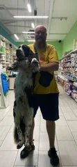 Фотография к отзыву: Николай Лущевский